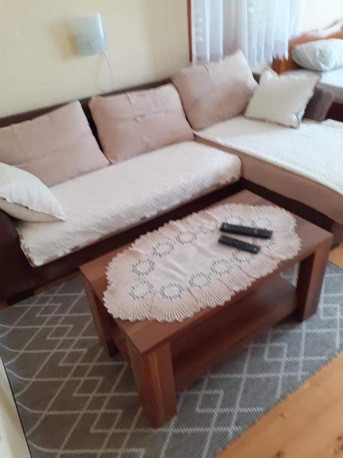 Studio Apartman Jelena Zaovine Esterno foto
